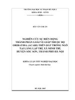 Nghiên cứu sự biến động thành phần loài ve giáp thuộc bộ oribatida (acari) trên đất trồng ngô tại làng lập trí, xã minh trí, huyện sóc sơn, thành phố hà nội