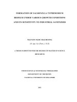 Formation of salmonella typhimurium biofilm under various growth conditions and its sensitivity to industrial sanitizers