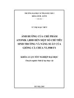 Ảnh hưởng của chế phẩm antonik 1,8DD đến một số chỉ tiêu sinh trưởng và năng suất của giống cà chua VL 3500 f1