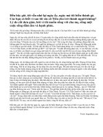 Do một lỗi lầm mà em bị buộc phải biến thành con gà trống trong một thời gian. Hãy kể về khoảng thời gian đó