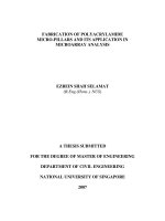Fabrication of polyacrylamide micro pillars and its application in microarray analysis