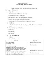 GIÁO  án HOẠT ĐỘNG mỹ THUẬT lớp5 hk1