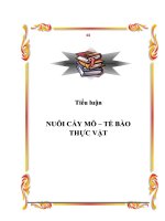 Luận văn báo cáo về  chuyên đề  nuôi cấy mô tế bào thực vật