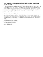 Phân tích nghệ thuật miêu tả nhân vật Mã Giám Sinh (bài 2).