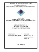 fermentation of dragon fruit juice by lactic acid bacteria