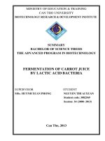 fermentation of carrot juice by lactic acid bacteria