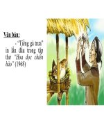 TIẾNG GÀ TRƯA   NGỮ VĂN 7 (Có bài soạn)