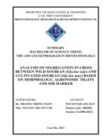 analysis of segregation in cross between wild soybean (glycine soja) and cultivated soybean (glycine max) based on morphology, agronomic traits and ssr marker