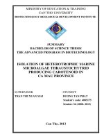 isolation of heterotrophic marine microalgae thraustochytrid producing carotenoid in ca mau province