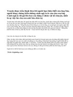 Phân tích cách kể chuyện của tác giả truyện Chiếc lược ngà của Nguyễn Quang Sáng.