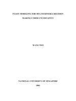 Fuzzy modeling for multicriteria decision making under uncertainty