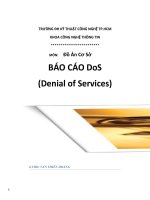 Báo cáo dos(denial of services)