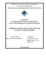 fermentation of mango juice by lactic acid bacteria
