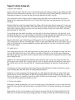 Nguyên nhân thắng lợi, ý nghĩa lịch sử và bài học kinh nghiệm của cách mạng tháng Tám năm 1945