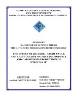 the effect of ph, dark – light cycle and light colour on the chlorophyll and carotenoid production of spirulina sp.