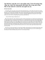 Tả cảnh đêm trăng sáng