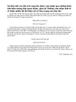 Sự biến đổi của đất trời sang thu (bài thơ Sang thu - Hữu Thỉnh) được tác giả cảm nhận bắt đầu từ đâu và gợi tả qua những hình ảnh, hiện tượng gì? Tâm trạng của nhà thơ được bộc lộ như thế nào?