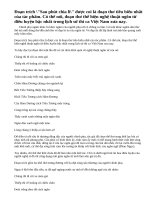 Vẻ đẹp ngôn từ của Sau phút chia li (Chinh phụ ngâm khúc).