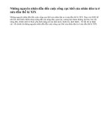 Những nguyên nhân dẫn đến cuộc sống cực khổ của nhân dân ta ở nửa đầu thế kỉ XIX