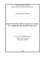 phân tích hoạt động tín dụng cá nhân tại agribank thành phố vĩnh long