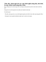 Phong trào Cải cách tôn giáo đã có tác động trực tiếp như thế nào đến xã hội châu Âu thời bấy giờ ?