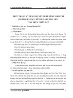 THỰC TRẠNG SỬ DỤNG ĐẤT SẢN XUẤT NÔNG NGHIỆP Ở PHƯỜNG HƯƠNG CHỮ,THỊ XÃ HƯƠNG TRÀ, TỈNH THỪA THIÊN HUẾ