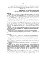 đánh giá chỉ số mắt cá chân cánh tay trong chẩn đoán bệnh động mạch ngoại biên chi dưới ở bệnh nhân đái tháo đường typ 2 