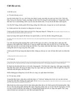 Chế độ cai trị của các triều đại phong kiến phương bắc và những chuyển biến trong kinh tế, văn hóa, xã hội Việt Nam