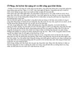 Qua những cuộc khởi nghĩa của công nhân ở Anh, Pháp, Đức vào nửa đầu thế kỉ XIX, hãy nêu những ưu điểm và hạn chế của phong trào công nhân thời đó.