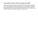 Em có nhận xét gì về người thợ thủ công Việt Nam ?