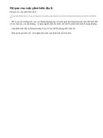 Hệ quả của các cuộc phát kiến địa lí là gì ?