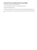 Hãy trình bày chính sách của Chính phủ Anh đối với sự phát triển kinh tế của 13 thuộc địa.