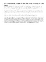 Hãy cho biết những điểm tiến bộ trong hoạt động kinh tế của cư dân Hoà Bình - Bắc Sơn.