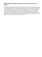 Em hãy mô tả thành cổ Loa.