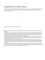 Sự phát triển của chủ nghĩa tư bản ở Bắc Mĩ. Nguyên nhân bùng nổ chiến tranh