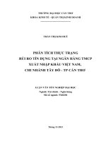 phân tích thực trạng rủi ro tín dụng tại ngân hàng tmcp xuất nhập khẩu việt nam, chi nhánh tây đô  tp cần thơ
