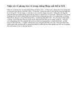 Nhận xét về phong trào vũ trang chống Pháp cuối thế kỉ XIX