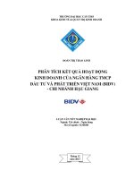 phân tích kết quả hoạt động kinh doanh của ngân hàng tmcp đầu tư và phát triển việt nam (bidv)  chi nhánh hậu giang