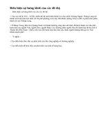 Sự hưng khởi của các đô thị thể hiện ra sao ? Sự phát triển của đô thị có ý nghĩa như thế nào ?