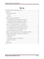 Hệ nano dẫn truyền thuốc cho não