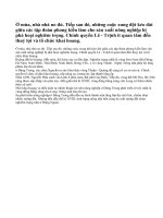 Nông nghiệp Đại Việt ở thế kỉ XVI