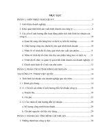 Phân tích tình hình lợi nhuận và giải pháp gia tăng lợi nhuận tại công ty TNHH Việt Quốc