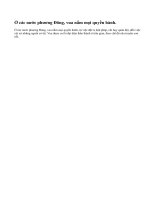 Ở các nước phương Đông, nhà vua có những quyền hành gì ?