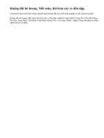 Cường hào đem cầm bán ruộng công đã ảnh hưởng đến sản xuất nông nghiệp và đời sống nông dân như thế nào ?