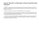 Nêu các điểm tích cực và hạn chế của sự phát triển nông nghiệp giai đoạn này.