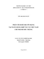 phân tích rủi ro tín dụng tại ngân hàng hợp tác xã việt nam chi nhánh sóc trăng
