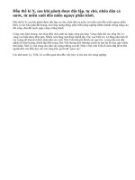 Nhà nước và nhân dân Đại Việt đã làm gì để phát triển nông nghiệp ?