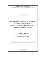 Đào tạo nhân viên tổ chức lao động dựa trên khung năng lực ( nghiên cứu trường hợp tổng công ty cổ phần bưu chính viettel) 