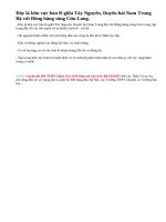 Hãy phân tích các thế mạnh đối với việc phát triển kinh tế, xã hội của vùng kinh tế trọng điểm phía Nam