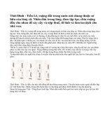 Bước đầu xây dựng nền kinh tế tự chủ thời Đinh - Tiền Lê